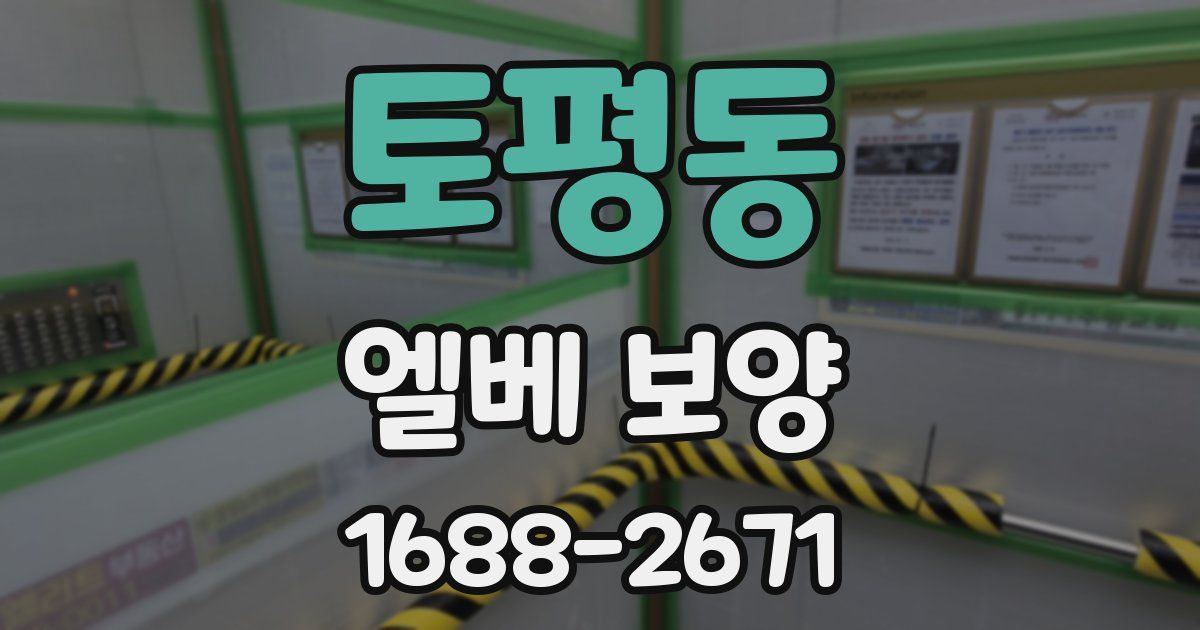 토평동 엘베 보양