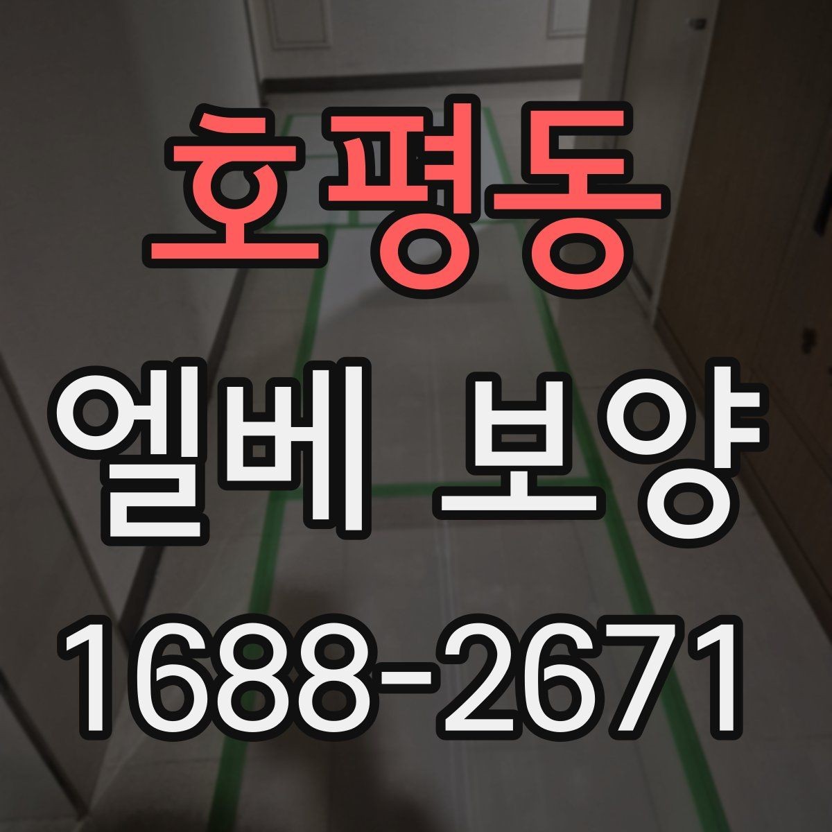 호평동 엘베 보양 작업 전후 사진을 남겨야 하는 순간