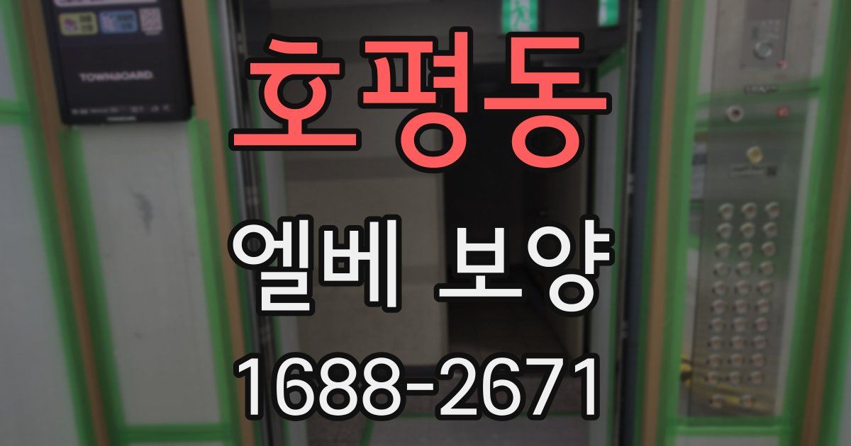 호평동 엘베 보양