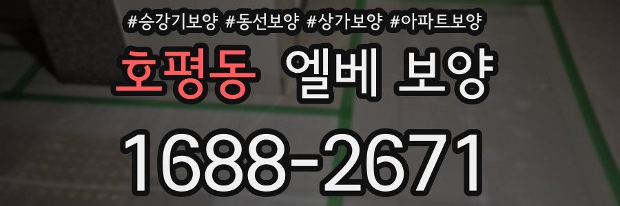 호평동 엘베 보양