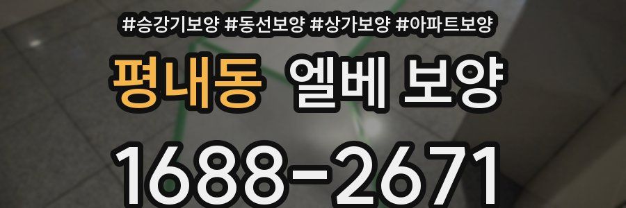 평내동 엘베 보양