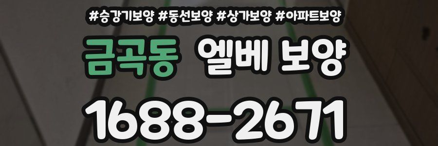 금곡동 엘베 보양
