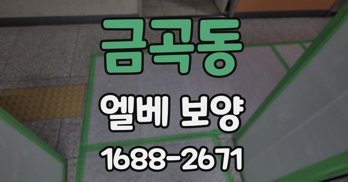 금곡동 엘베 보양