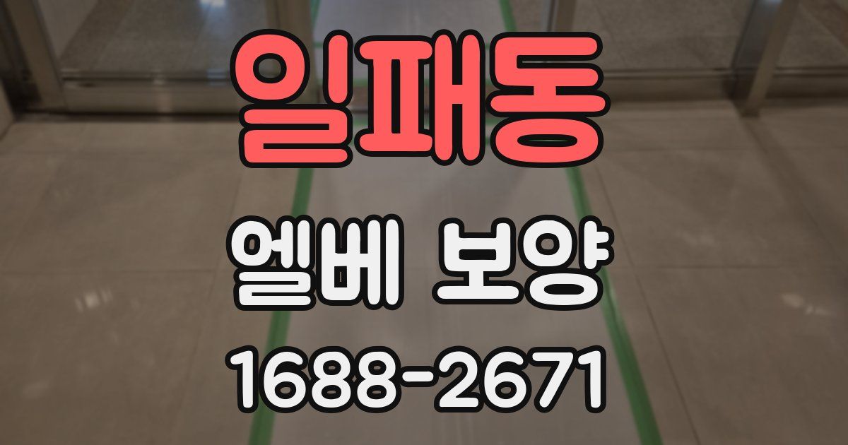 일패동 엘베 보양