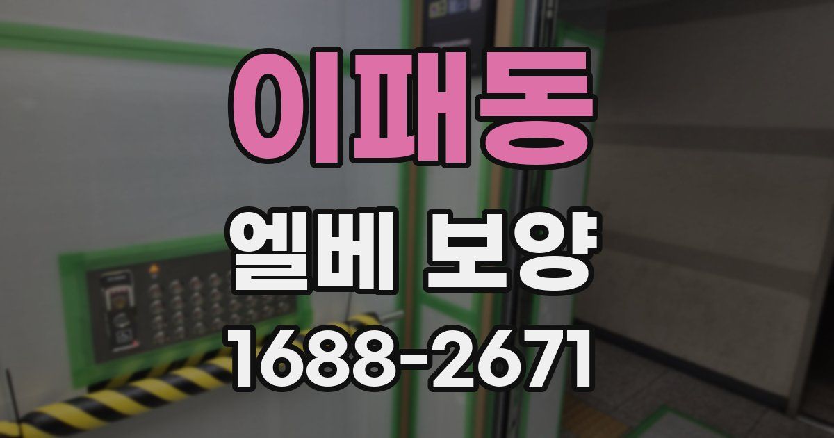 이패동 엘베 보양