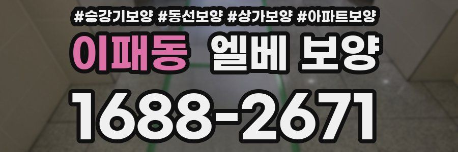 이패동 엘베 보양