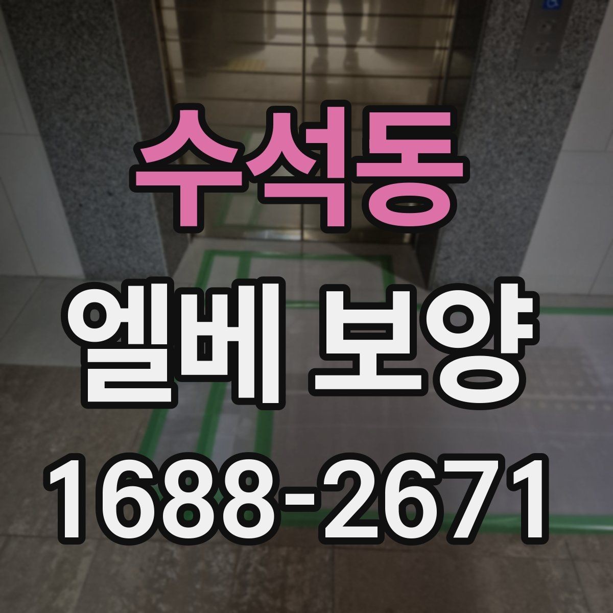 수석동 엘베 보양 보양 사진 기록을 하는 이유