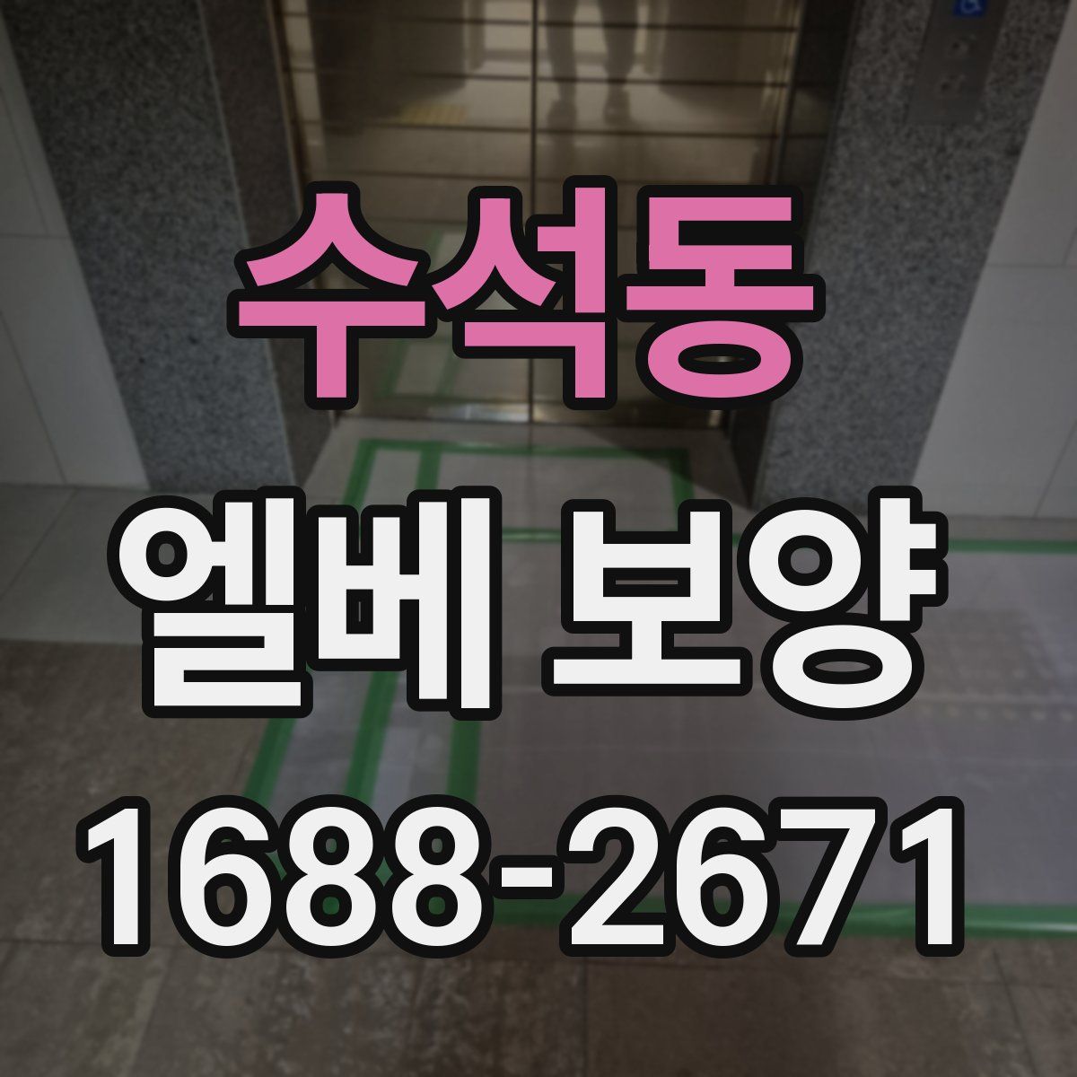수석동 엘베 보양