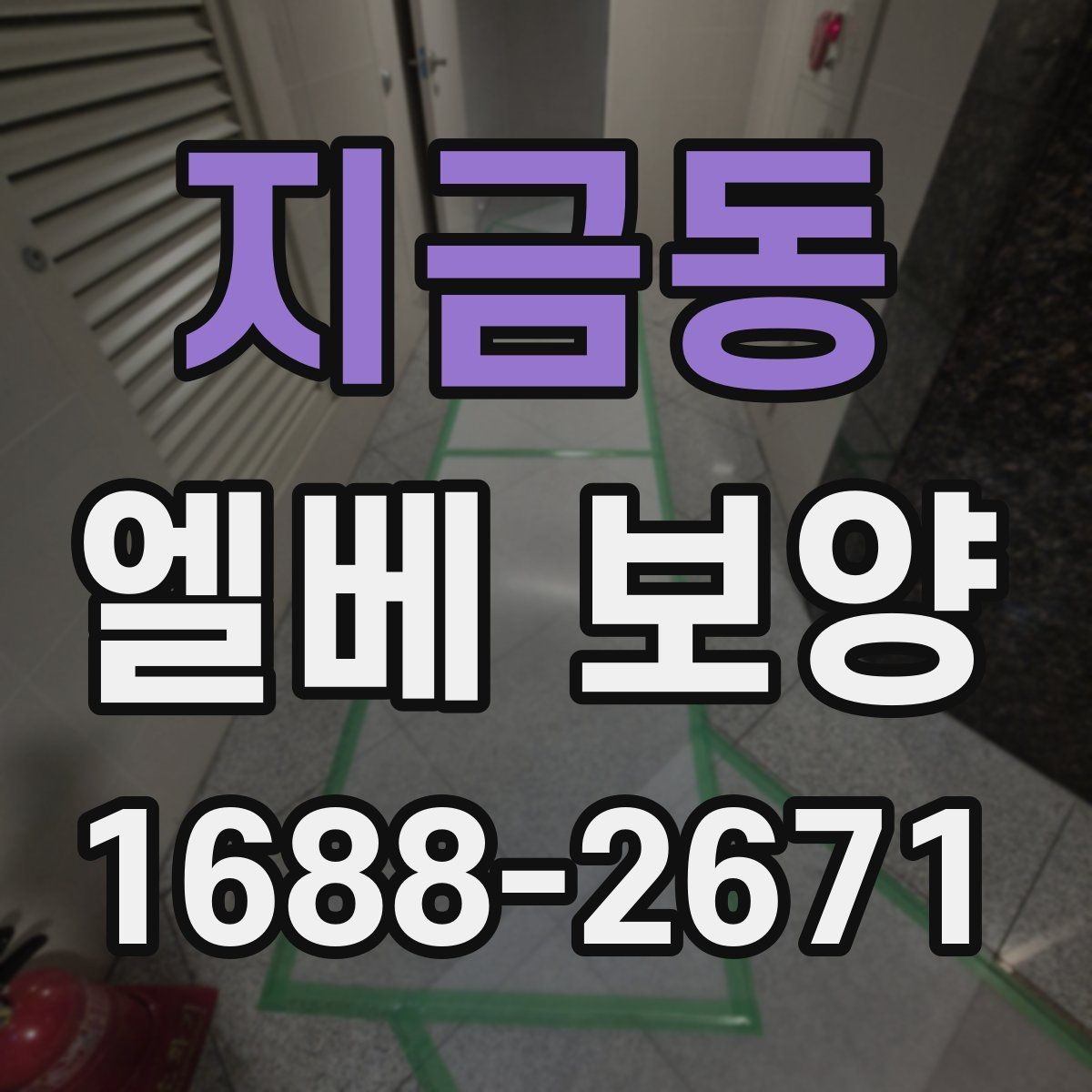 지금동 엘베 보양 작업자 이동이 많은 현장에서 필요한 대응