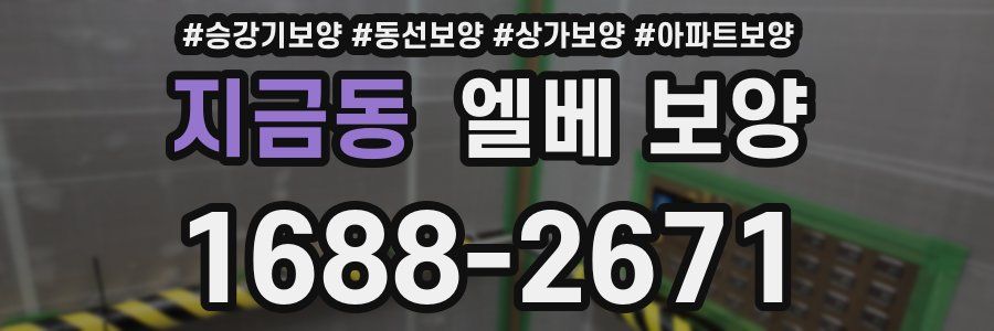 지금동 엘베 보양