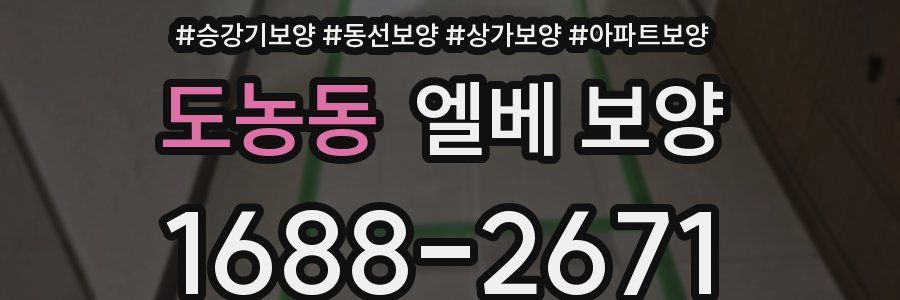 도농동 엘베 보양