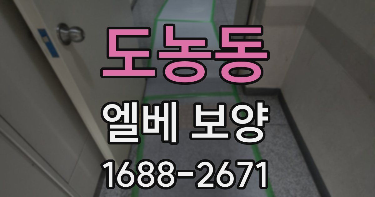 도농동 엘베 보양