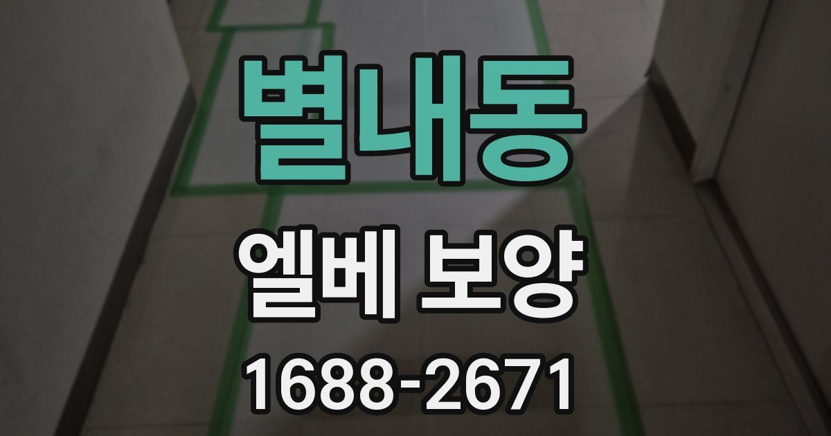 별내동 엘베 보양
