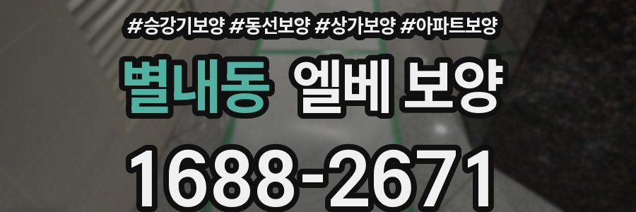 별내동 엘베 보양