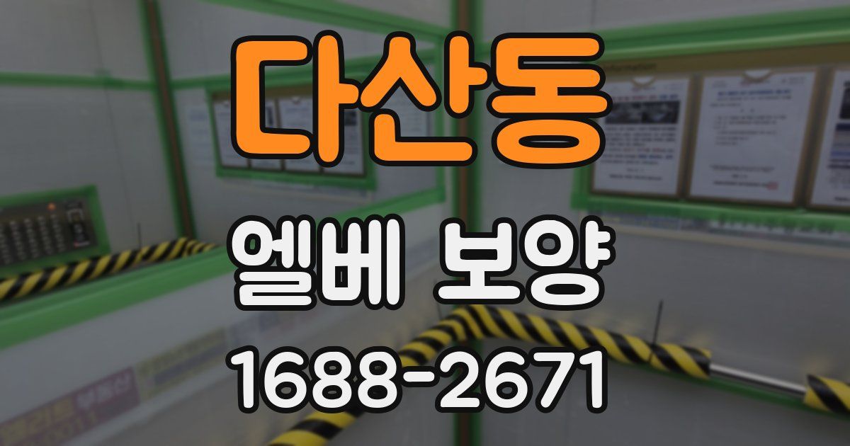 다산동 엘베 보양