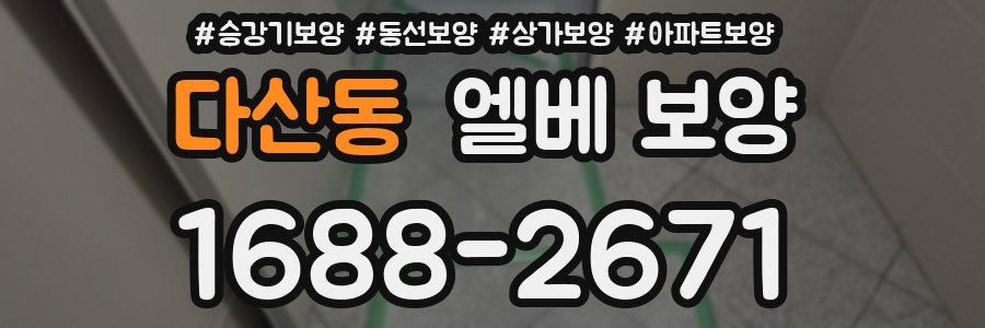 다산동 엘베 보양