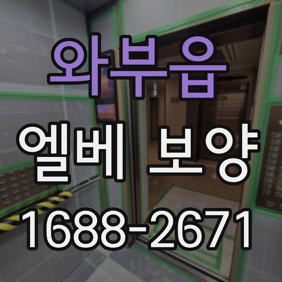 와부읍 엘베 보양 보양 사진 기록이 필요한 이유