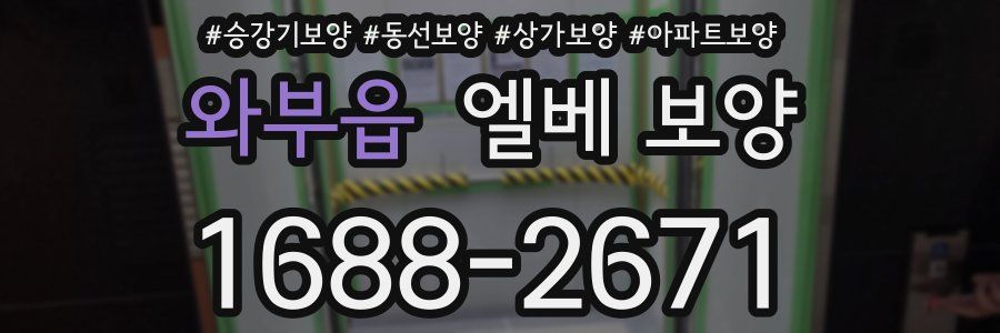 와부읍 엘베 보양