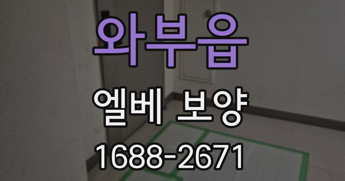 와부읍 엘베 보양
