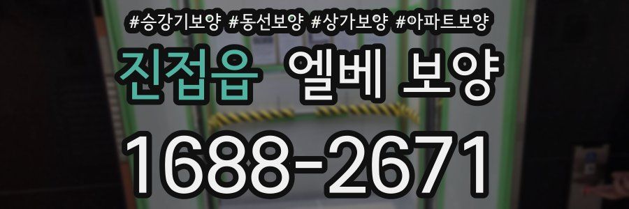 진접읍 엘베 보양