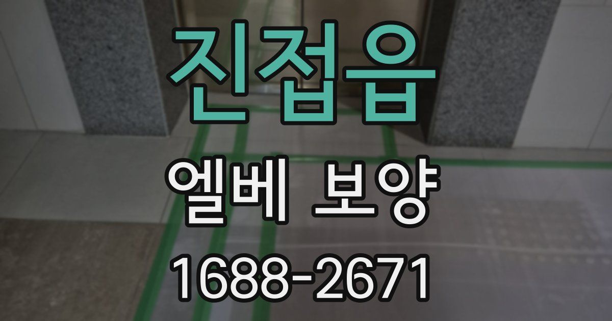 진접읍 엘베 보양