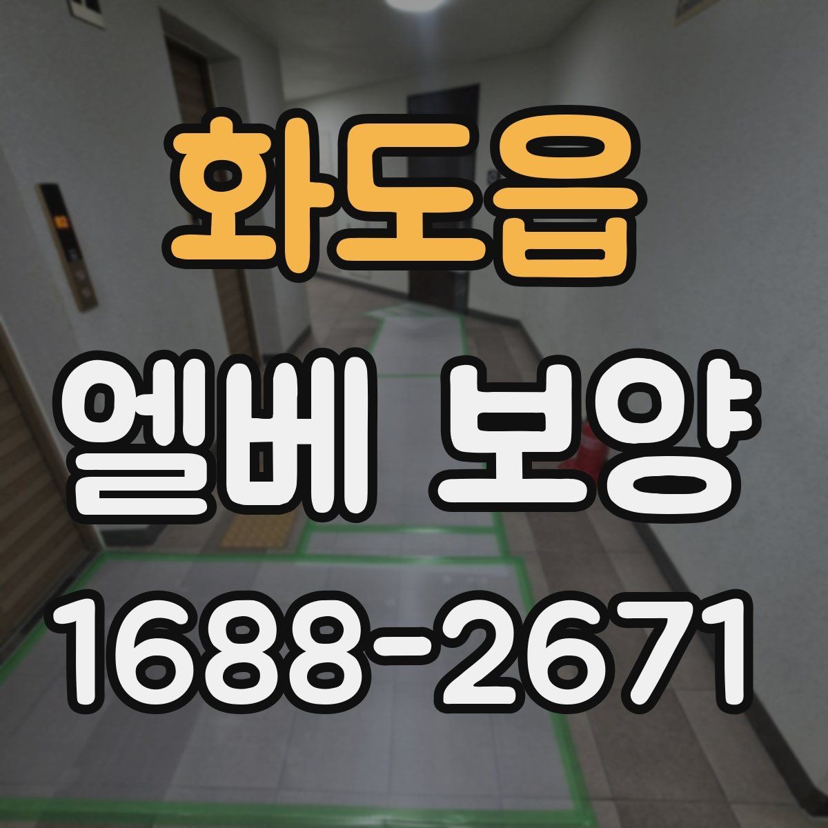 화도읍 엘베 보양 자재 선택부터 마감 확인까지의 점검 흐름