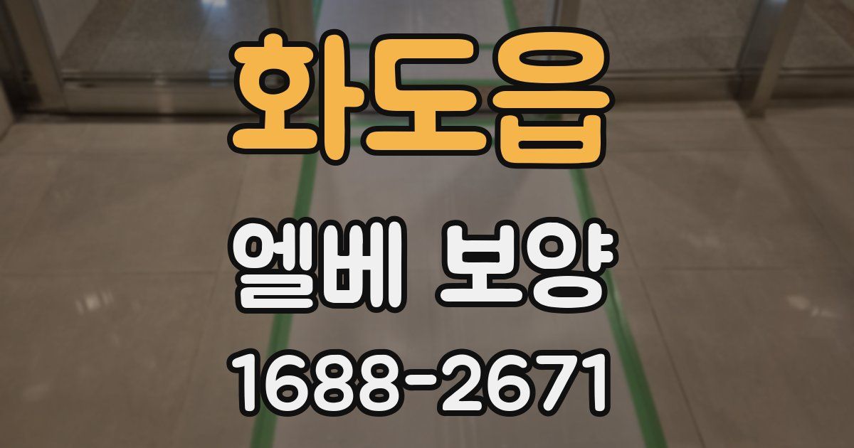 화도읍 엘베 보양