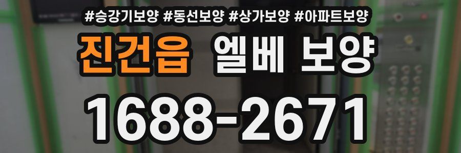 진건읍 엘베 보양