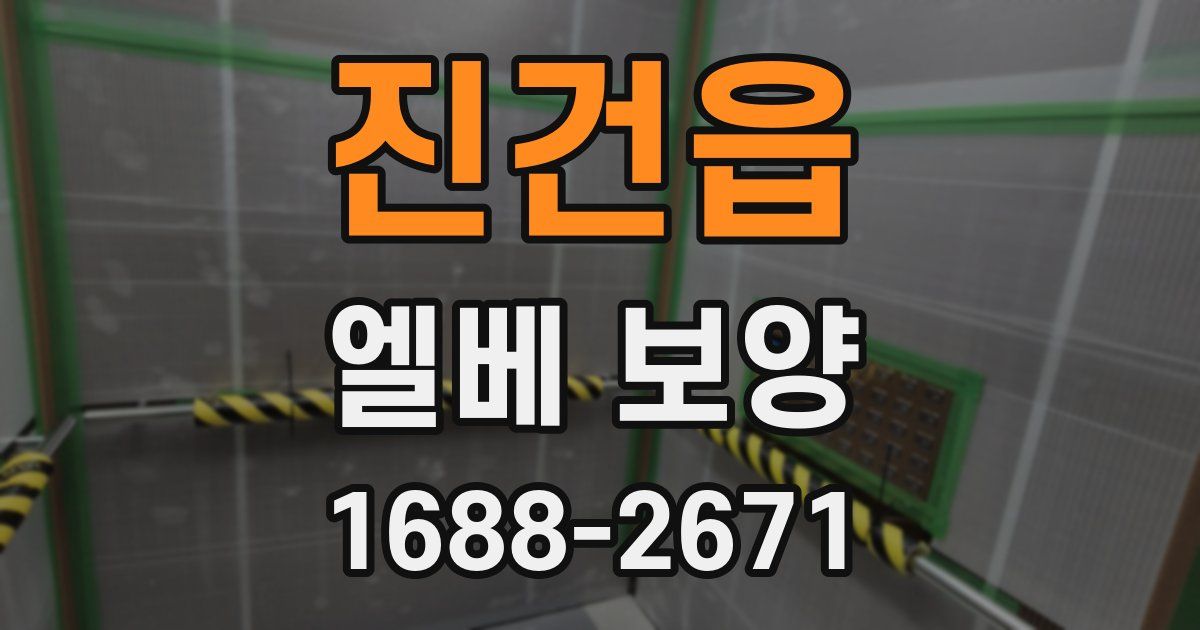 진건읍 엘베 보양