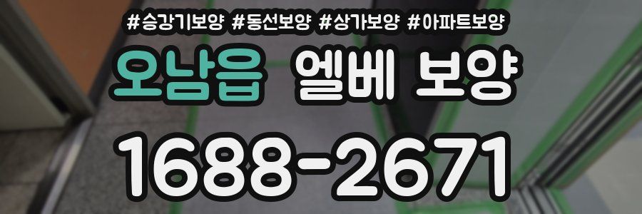 오남읍 엘베 보양