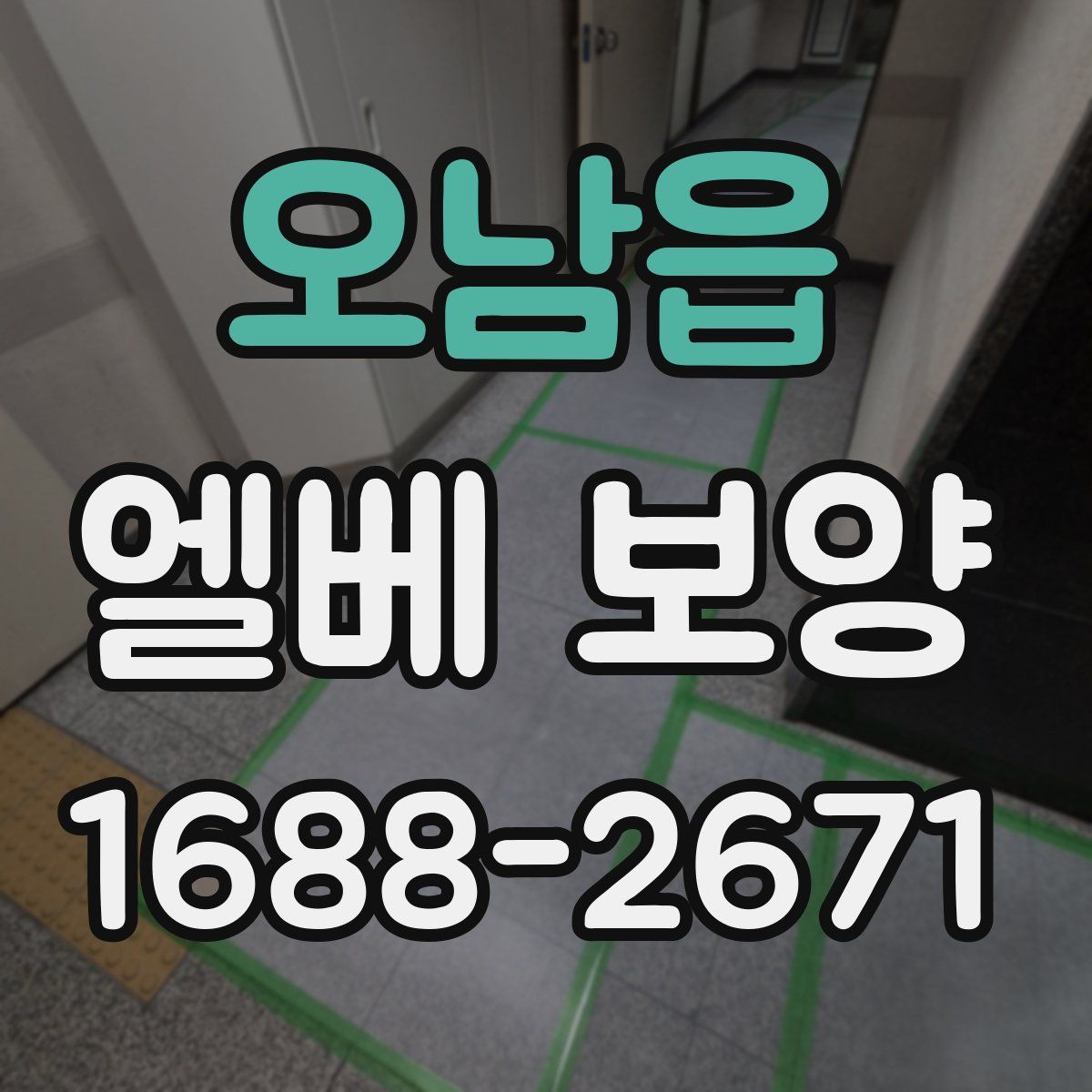오남읍 엘베 보양