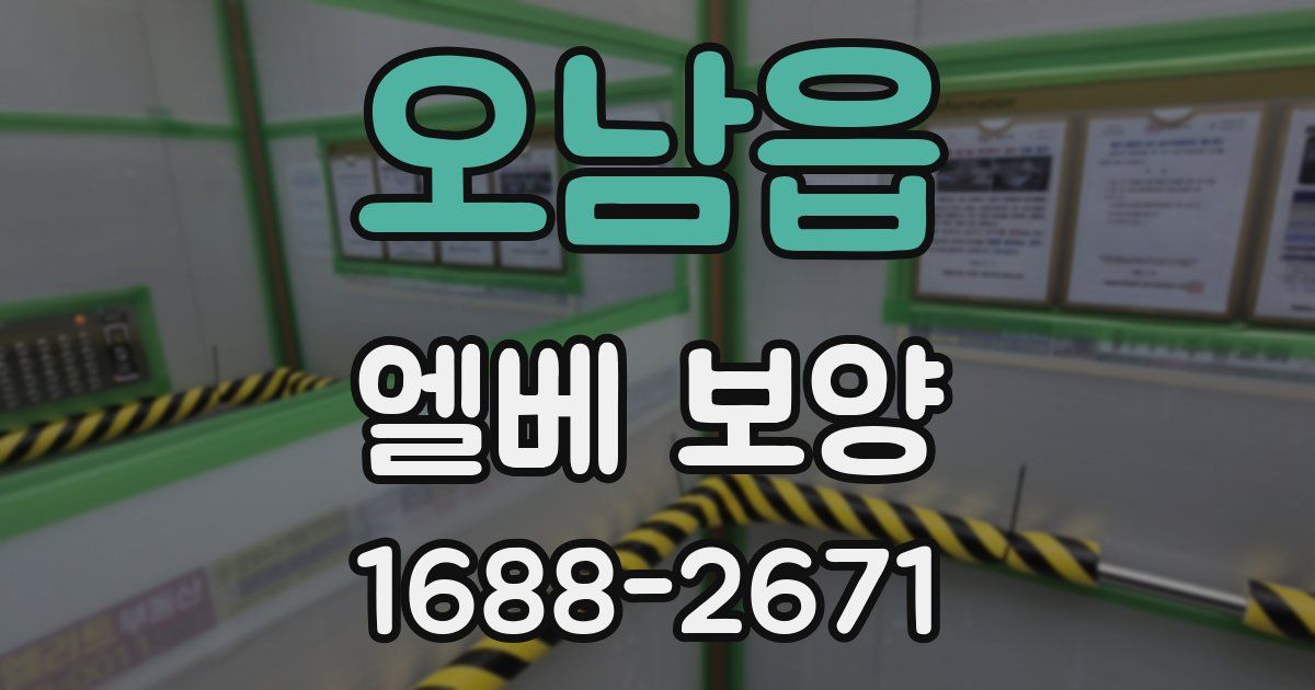 오남읍 엘베 보양