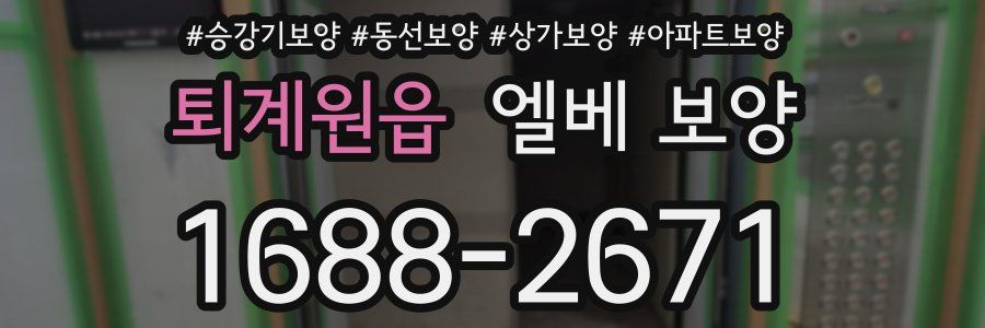 퇴계원읍 엘베 보양