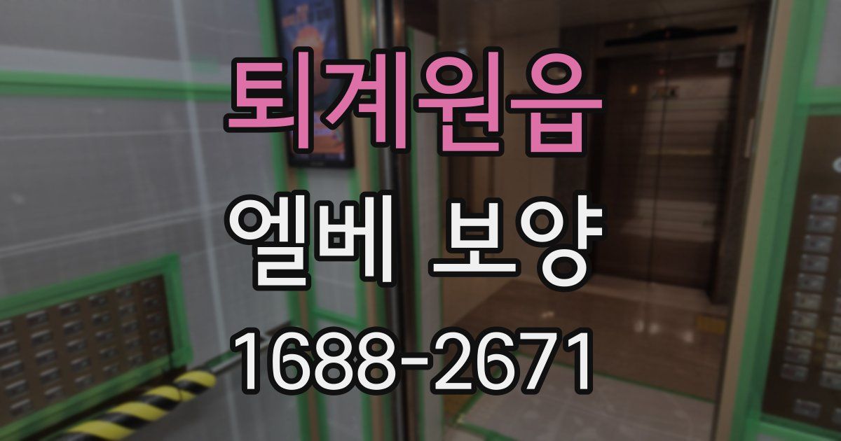 퇴계원읍 엘베 보양
