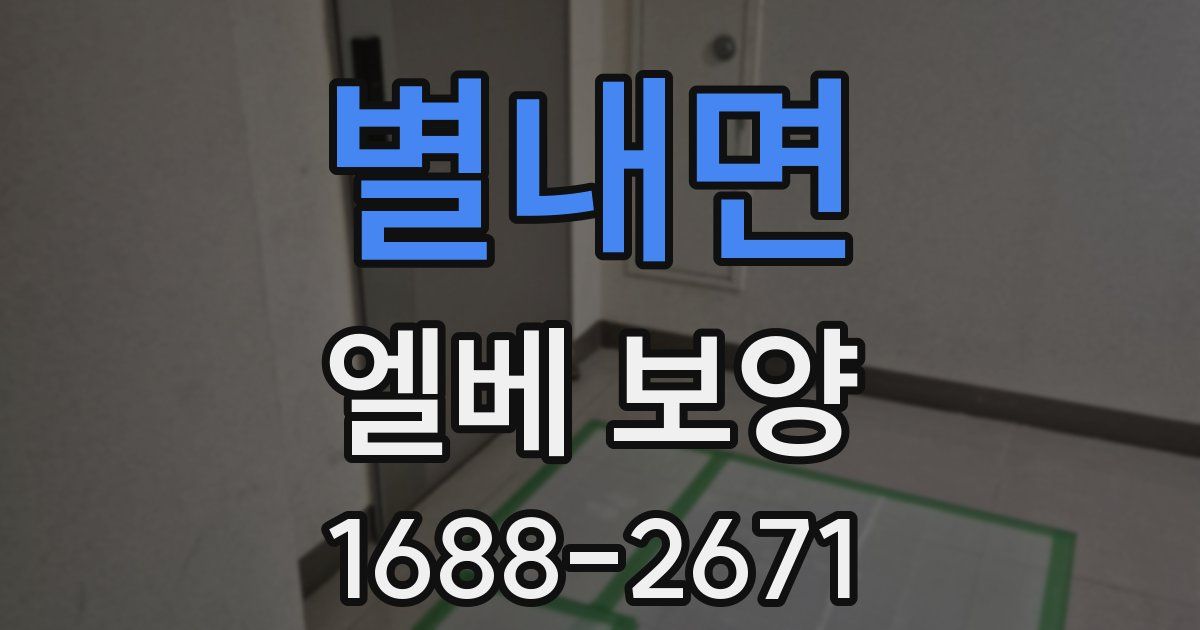 별내면 엘베 보양