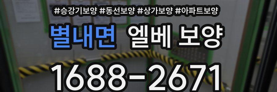 별내면 엘베 보양