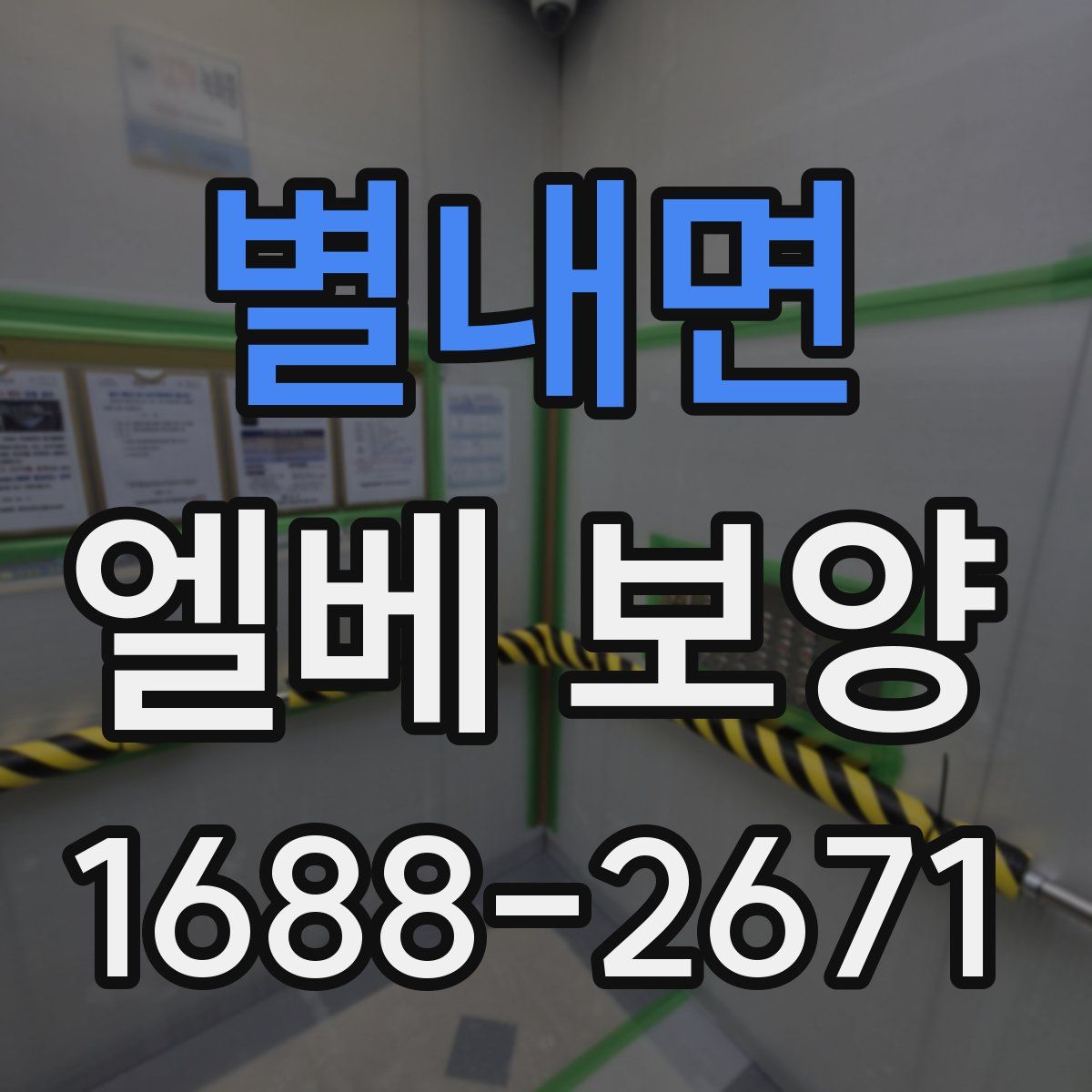 별내면 엘베 보양