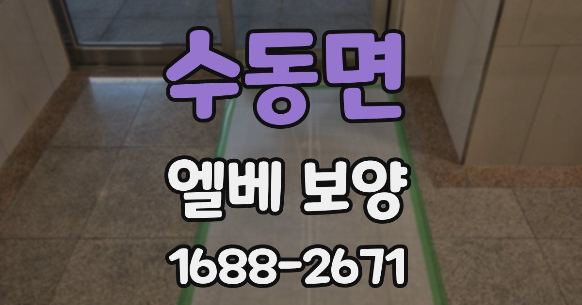 수동면 엘베 보양
