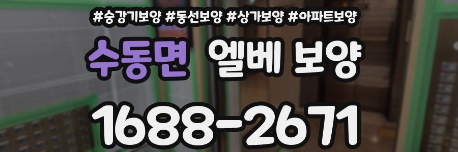 수동면 엘베 보양