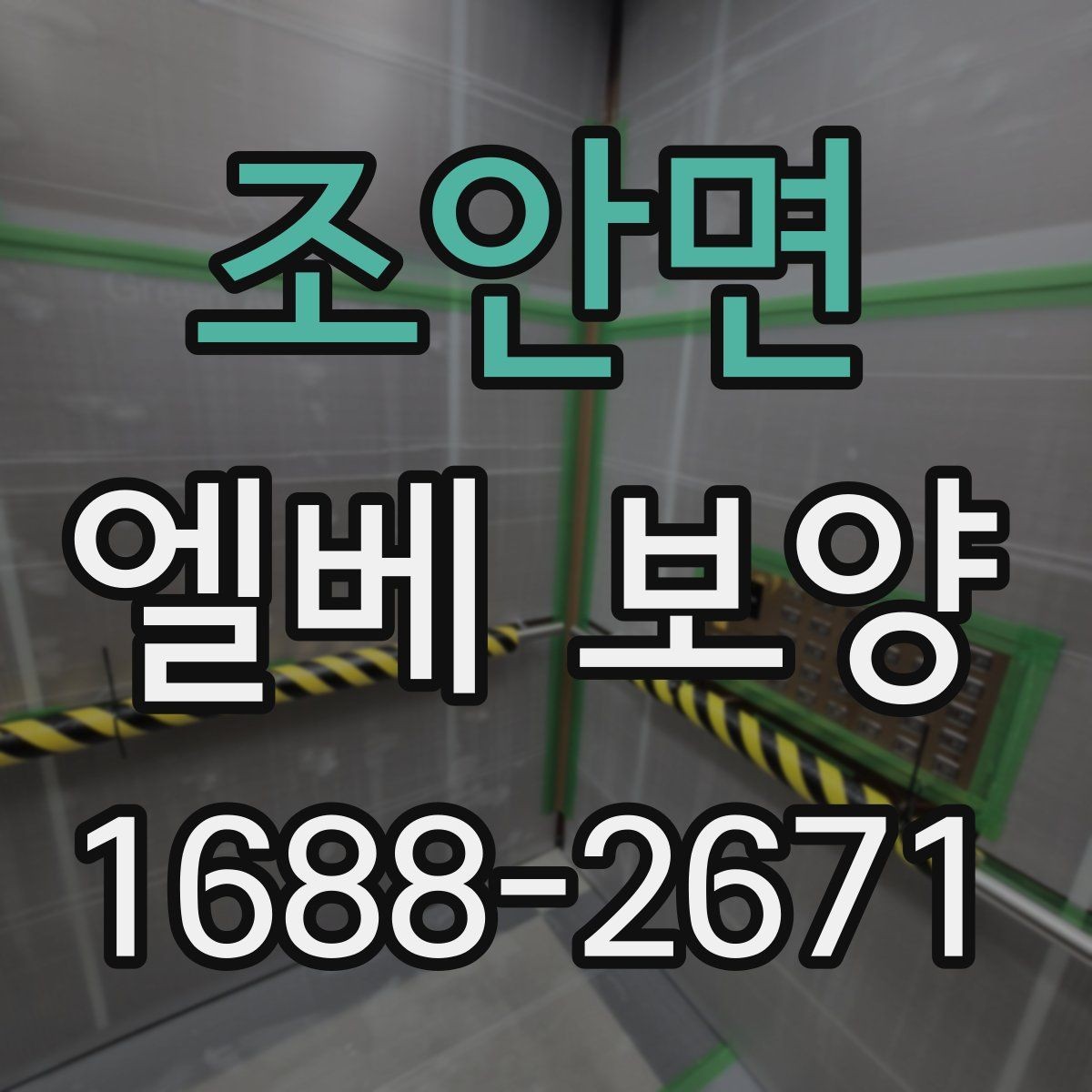 조안면 엘베 보양 작업 전후 사진을 남겨야 하는 순간