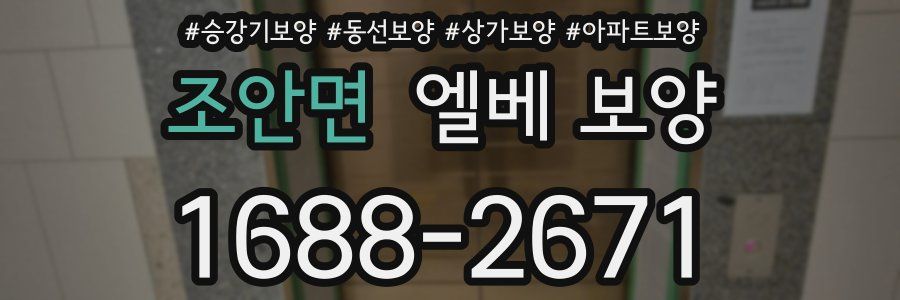 조안면 엘베 보양