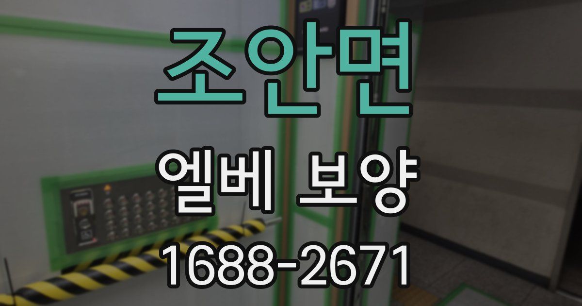 조안면 엘베 보양
