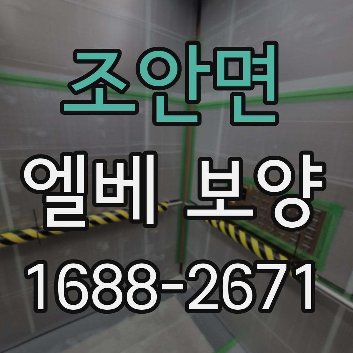 조안면 엘베 보양