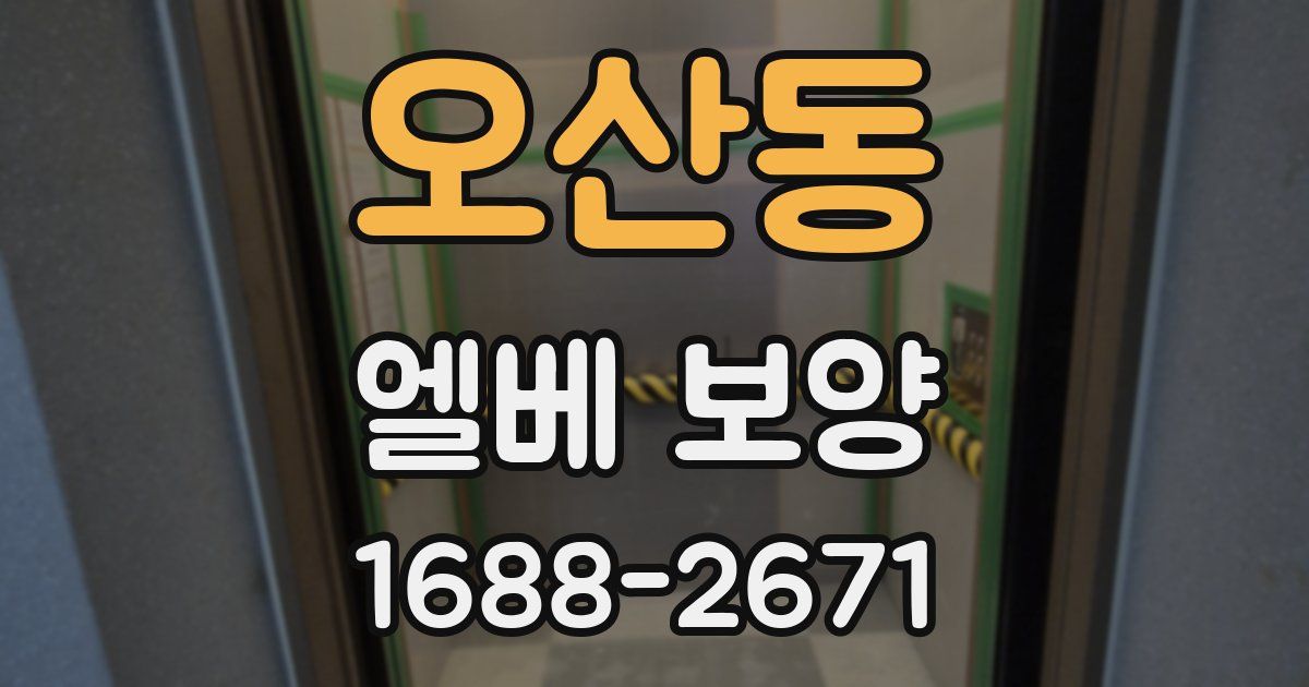 오산동 엘베 보양