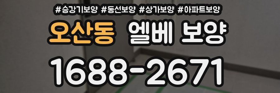 오산동 엘베 보양
