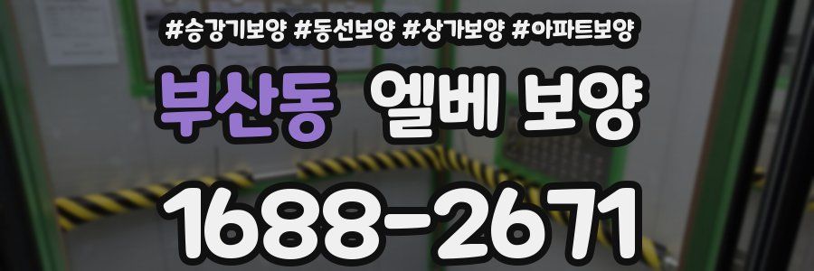 부산동 엘베 보양