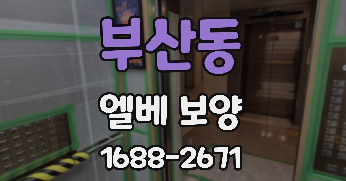 부산동 엘베 보양