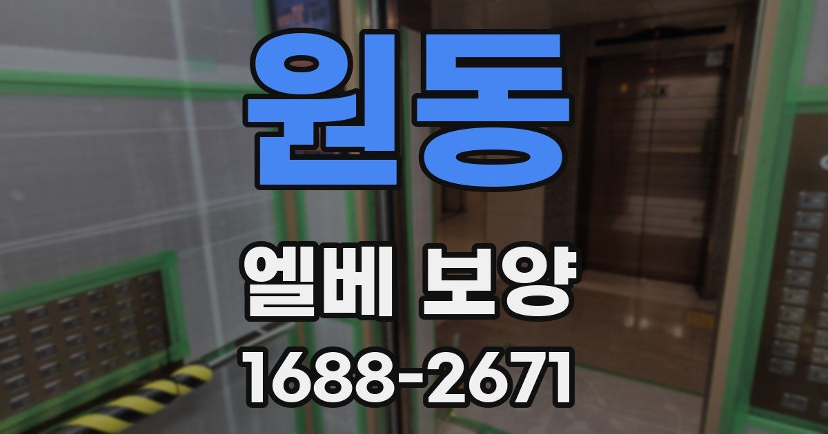 원동 엘베 보양