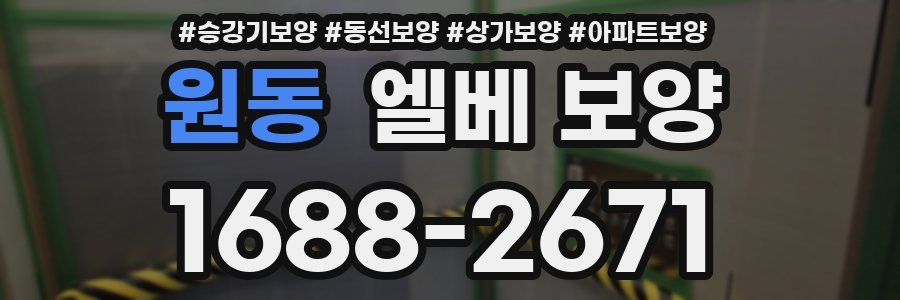 원동 엘베 보양