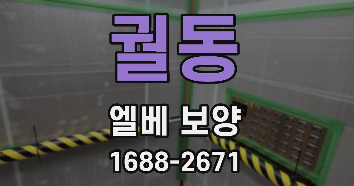 궐동 엘베 보양